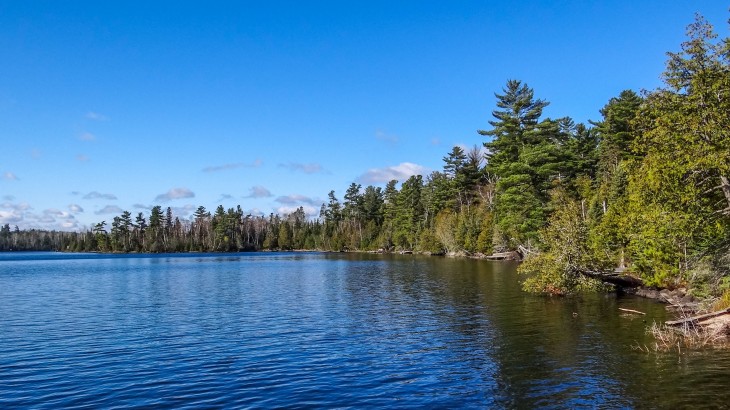The sun shines on the bank of a wilderness lake with beautiful blue sky.